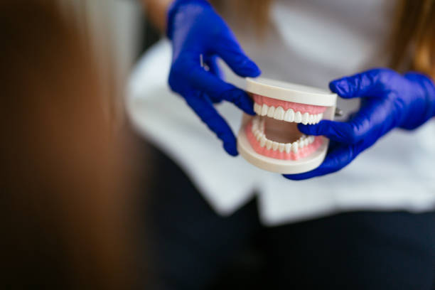 Dental X-Rays and Imaging in Red Bank, TN
